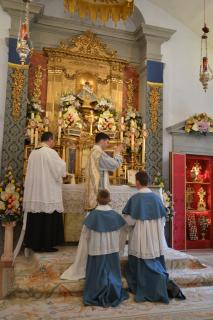 <em>Indulgentiam</em>