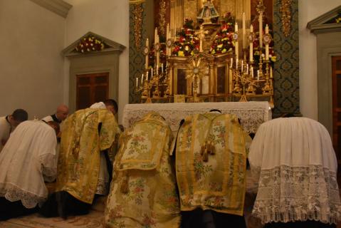 <em>Veneremur cernui</em>