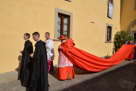 Arrivée de S.E.R. le Cardinal Burke pour la messe solennelle avec assistance pontificale au trône