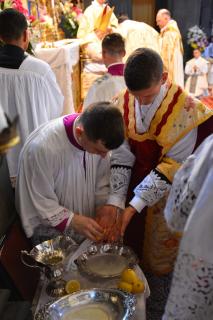 Purification des mains