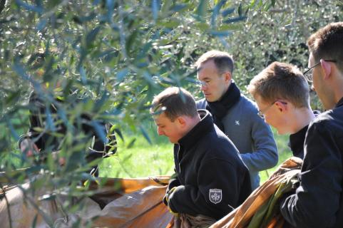 Les parachutes sont repliés pour rassembler les olives