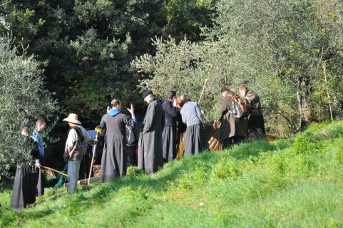 Les parachutes sont repliés pour rassembler les olives