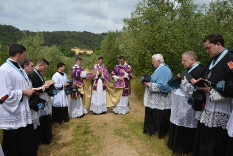 Bénédiction des champs