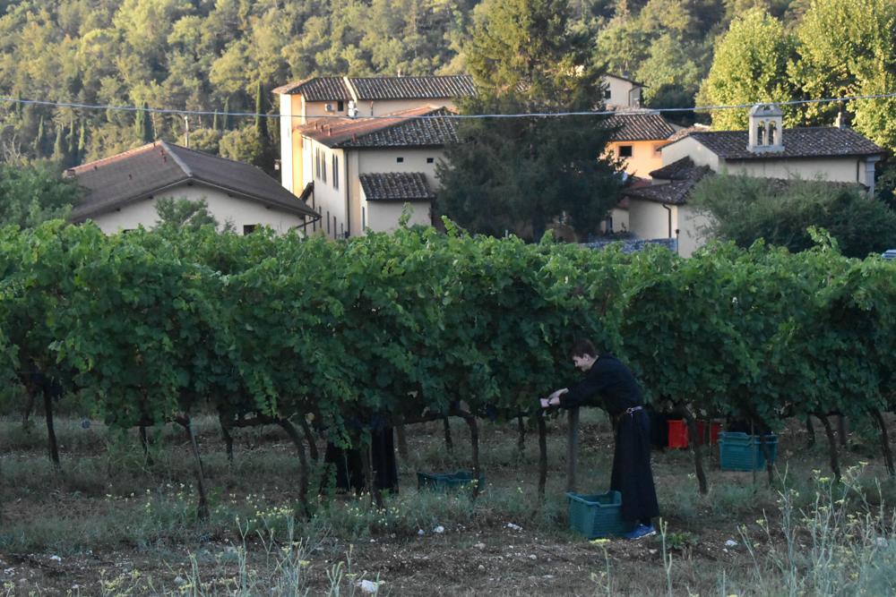 Les Séminaristes dans les vignes du Séminaire